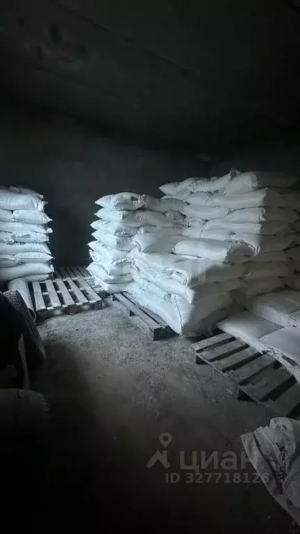 Помещение свободного назначения в Алтай, Майминский район, с. Майма ... - Фото 2