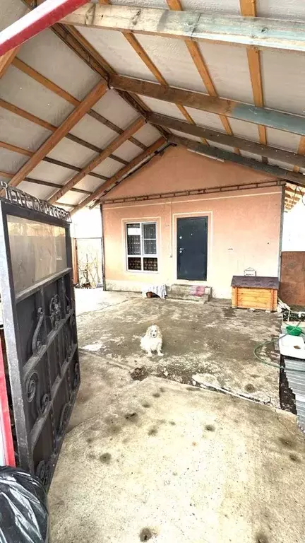 Дом в Краснодарский край, Анапа муниципальный округ, Анапская ст-ца ... - Фото 2