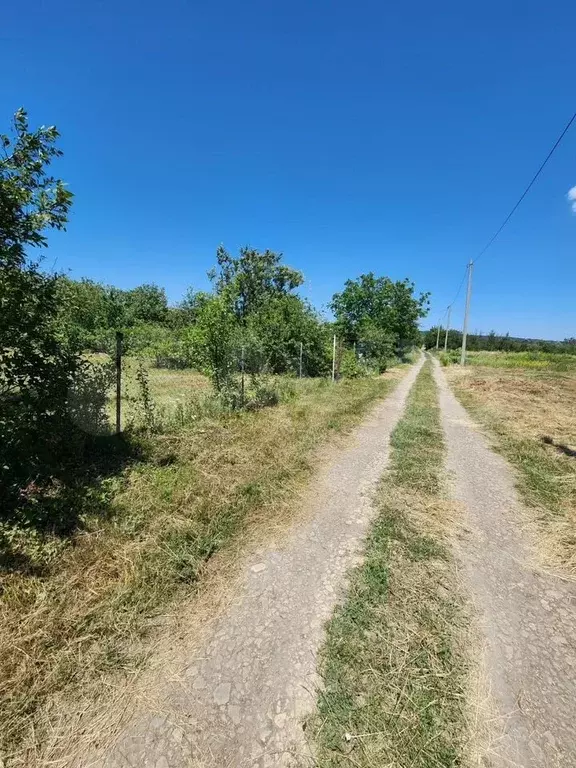 Участок 6 сот. (СНТ, ДНП) - Фото 1