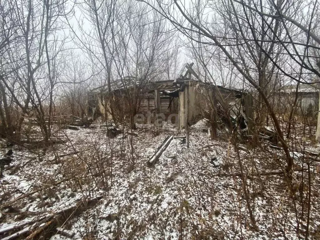 Дом в Белгородская область, Корочанский район, Большехаланское с/пос, ... - Фото 1