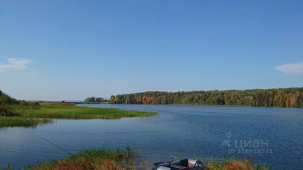 Участок в Пермский край, Чусовской городской округ, д. Шалашная  (50.0 ... - Фото 1