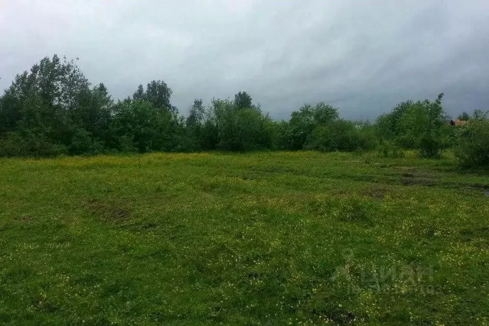 Участок в Омская область, Омский район, с. Троицкое ул. Дорстрой, 3 ... - Фото 0