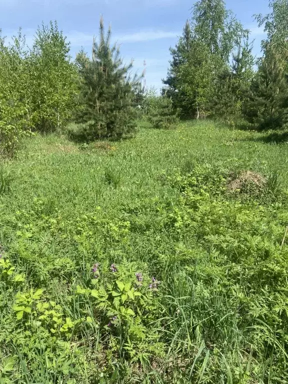 Участок в Московская область, Лосино-Петровский городской округ, д. ... - Фото 2