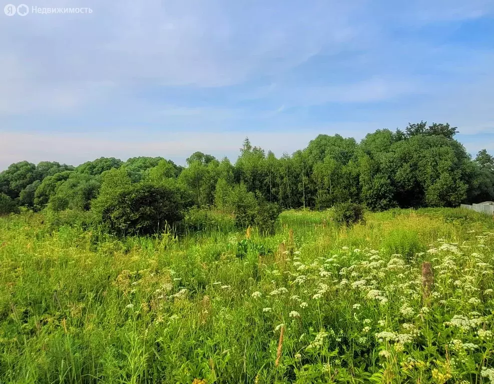 Участок в Заокский район, сельское поселение Страховское, деревня ... - Фото 1