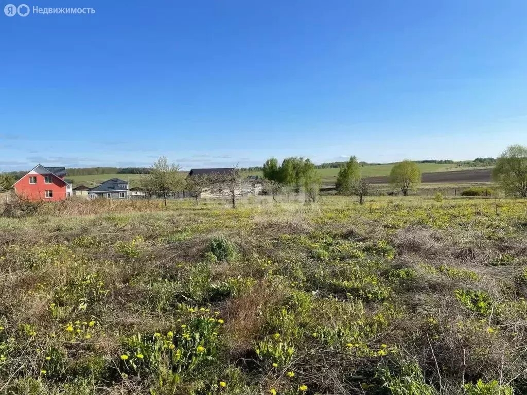 Участок в Пестречинский район, село Кощаково (12 м) - Фото 1