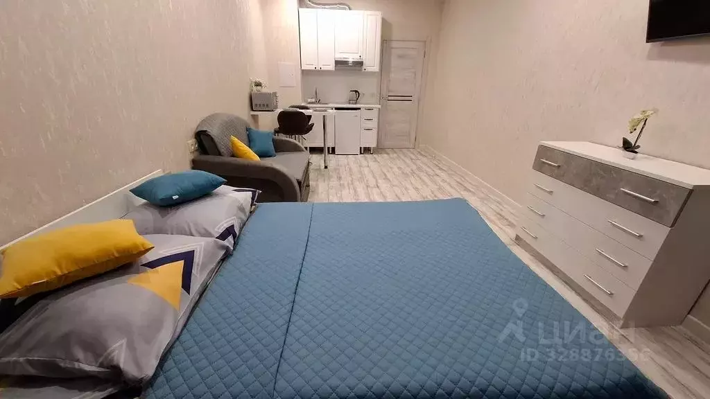 Студия Сахалинская область, Южно-Сахалинск ул. Ленина, 563к6 (27.0 м) - Фото 2
