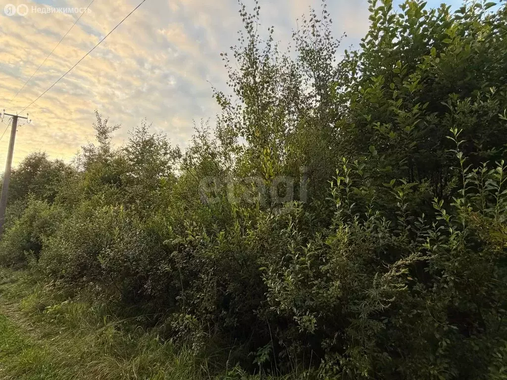 Участок в Кусинское сельское поселение, садоводческий массив ... - Фото 1