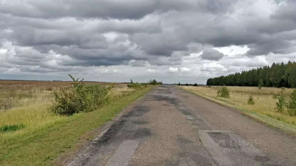 Участок в Татарстан, Высокогорский район, Березкинское с/пос, с. Инся  ... - Фото 2