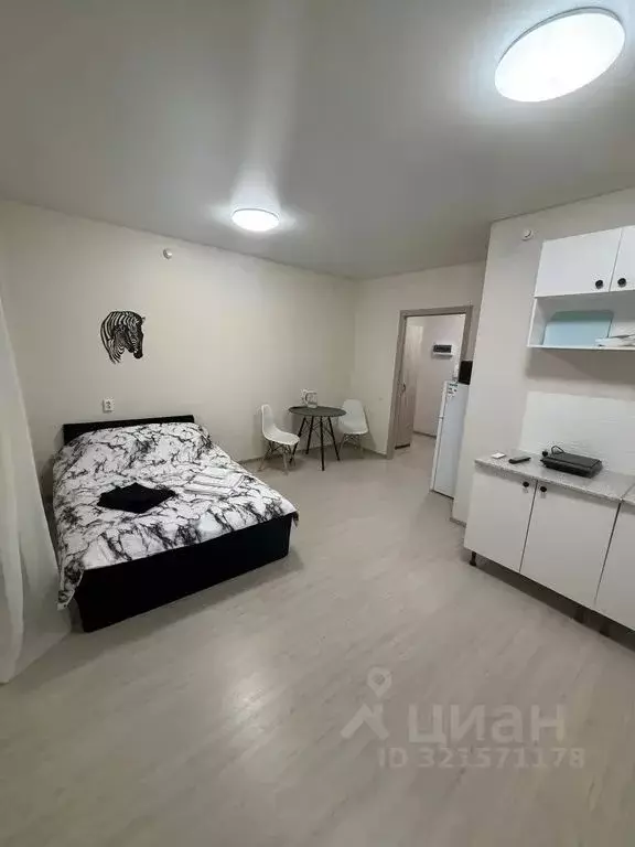 Студия Татарстан, Набережные Челны ул. Раскольникова, 18 (24.0 м) - Фото 1