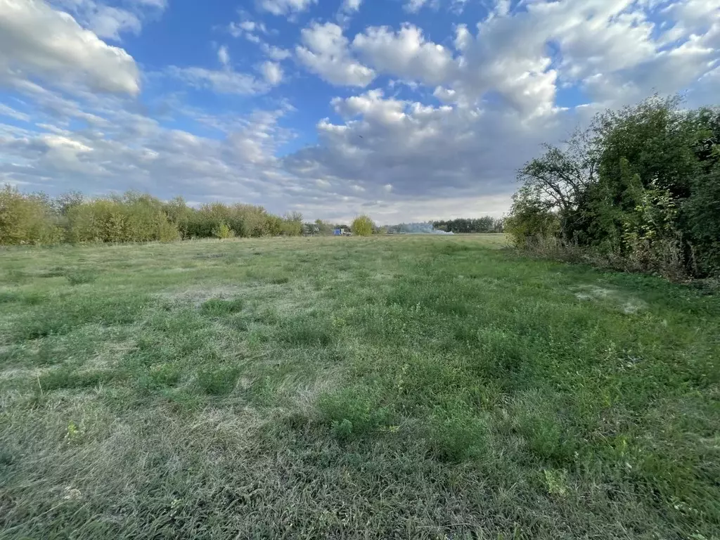 Дом в Воронежская область, Хохольский район, с. Староникольское ул. ... - Фото 2