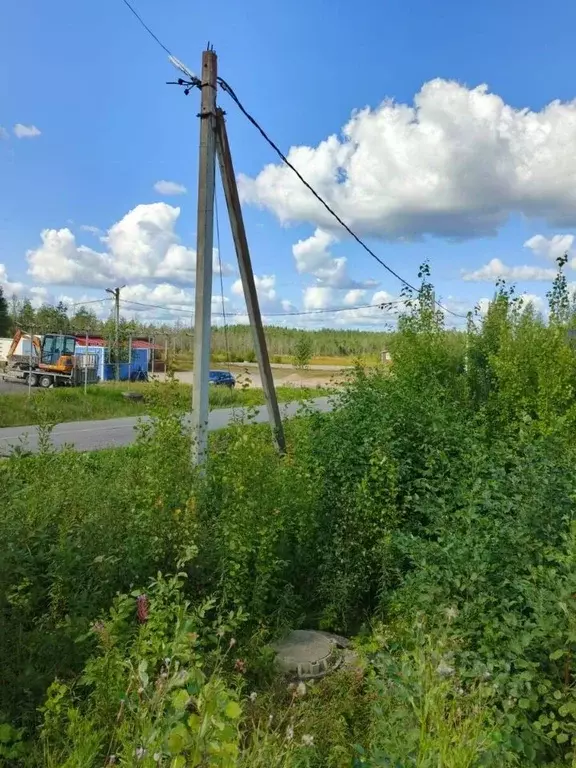 Участок в Ленинградская область, Всеволожский район, Агалатовское ... - Фото 1