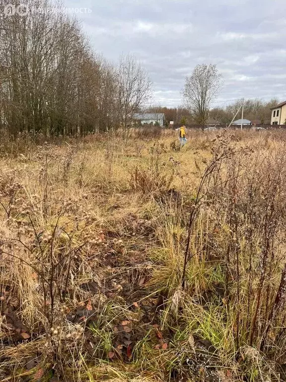 Участок в Ленинградская область, Гатчинский муниципальный округ, ... - Фото 0