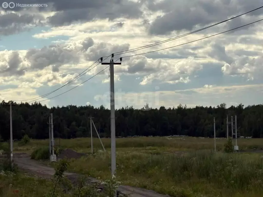 Участок в Колтушское городское поселение, Р-21 Кола, 21-й километр (10 ... - Фото 2