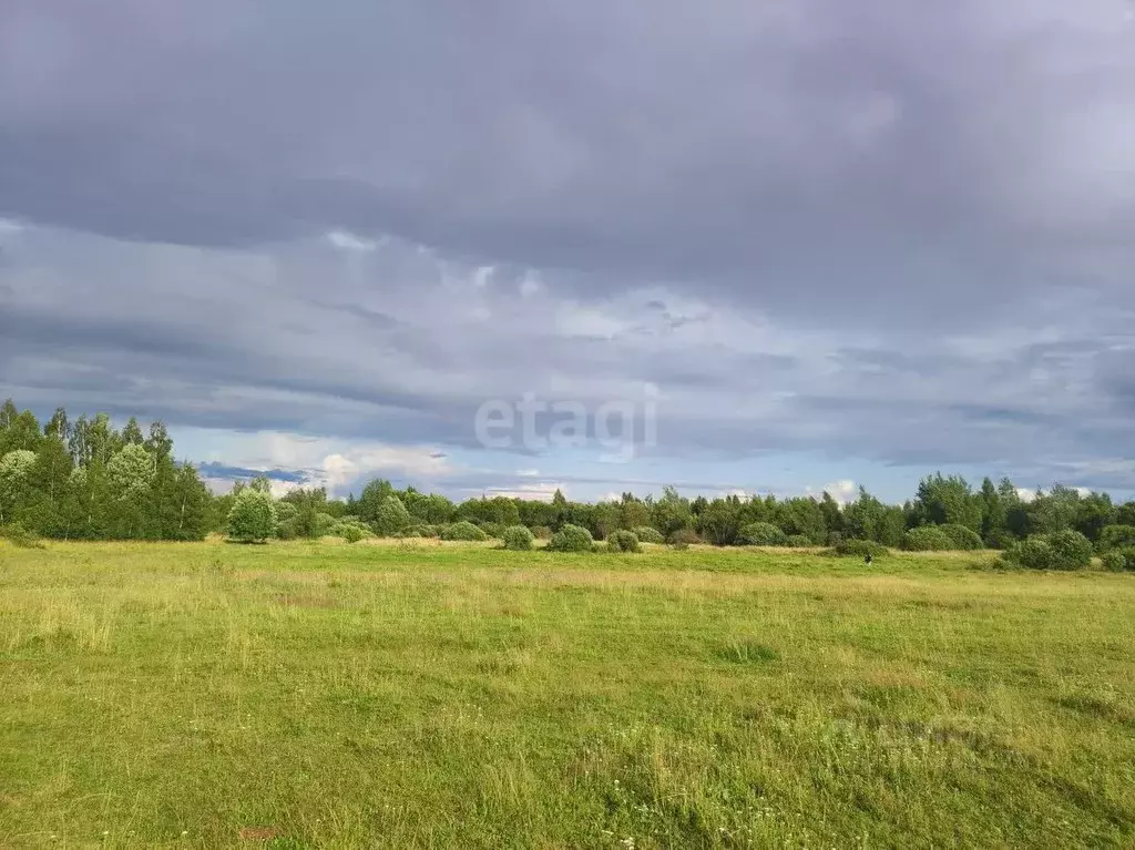 Участок в Новгородская область, Новгородский район, Ракомское с/пос, ... - Фото 1