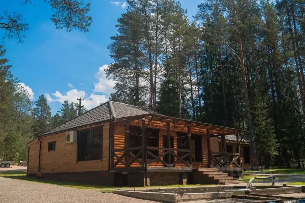 Дом в Псковская область, Печорский муниципальный округ, д. Тайлово 59 ... - Фото 1