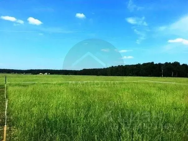 Участок в Краснодарский край, Анапа Крестьянская ул., 25 (5.5 сот.) - Фото 0