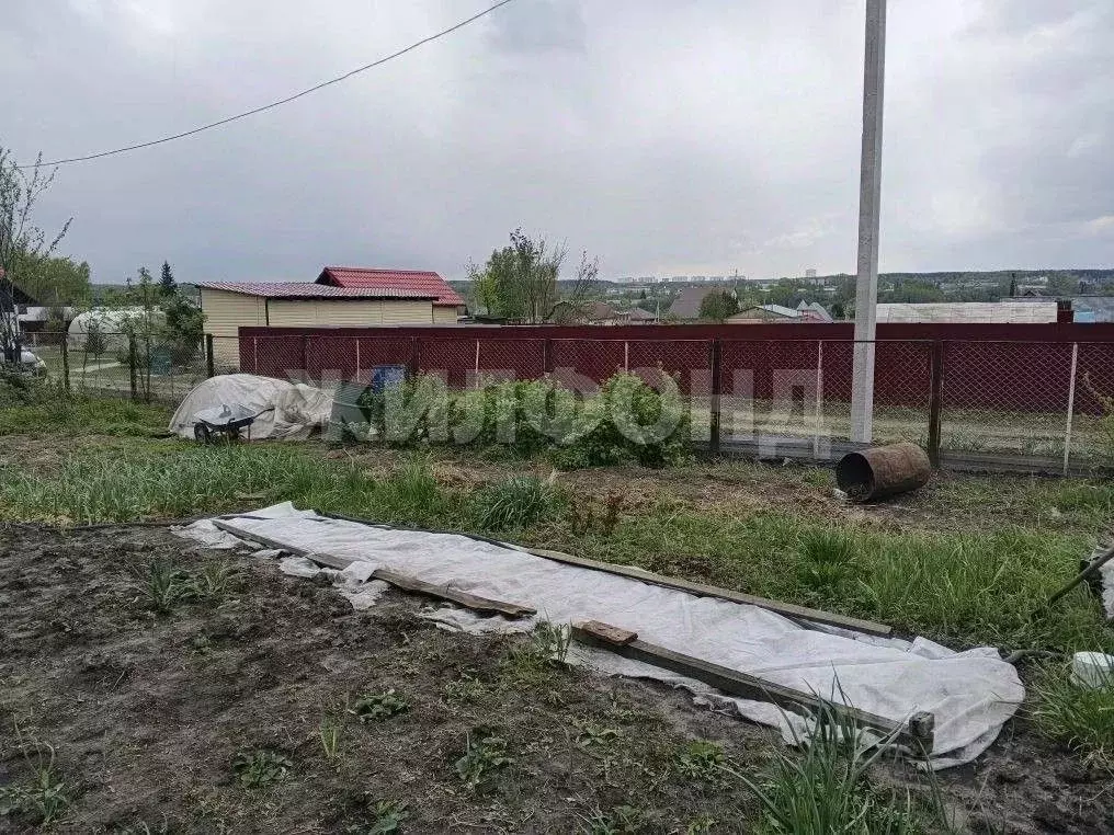 Дом в Новосибирская область, с. Новолуговое Дачная ул. (29 м) - Фото 2