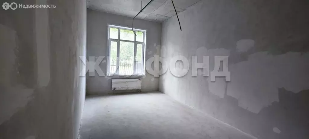 Квартира-студия: Новосибирск, улица Кирова, 113/2 (25.4 м) - Фото 1