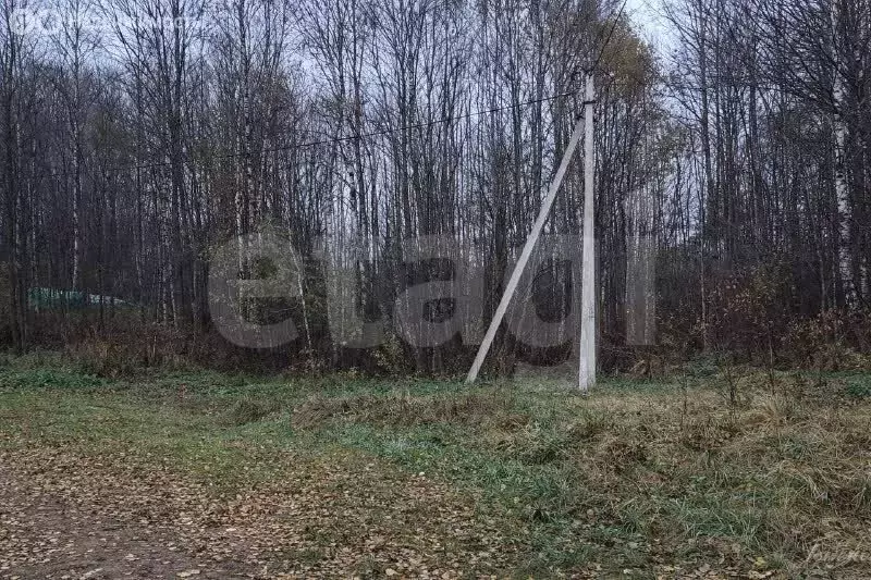 Участок в Псковский район, Ершовская волость, садоводческое ... - Фото 1