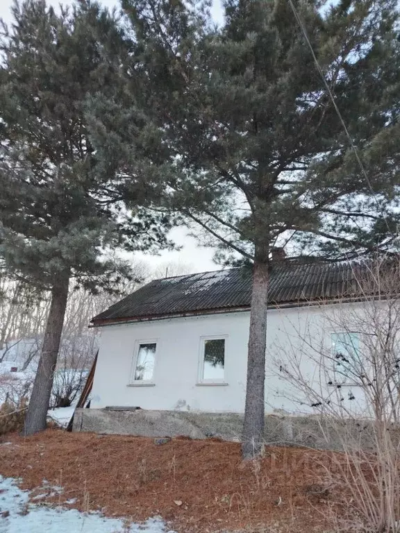 Дом в Приморский край, Партизанск Подгорная ул. (44 м) - Фото 1