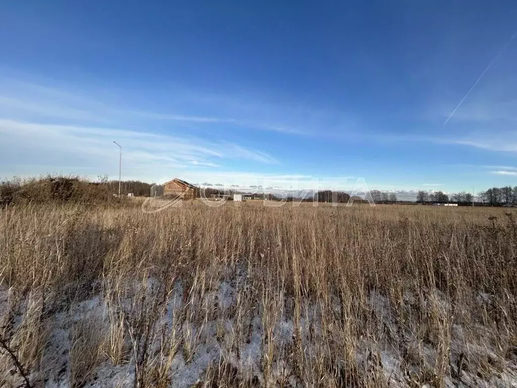 Участок в Тюменская область, Тюменский муниципальный округ, ... - Фото 2