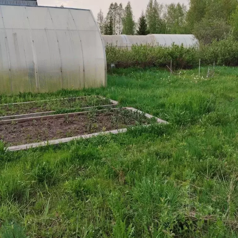 Участок в Архангельская область, Приморский муниципальный округ, ... - Фото 2