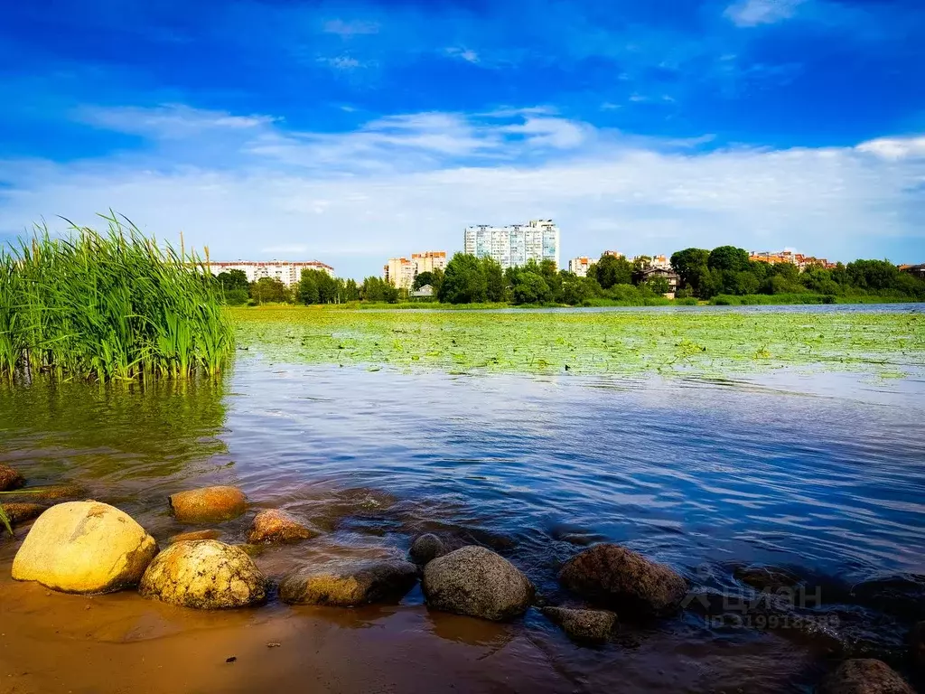 1-к кв. Санкт-Петербург ш. Суздальское, 8 (44.6 м) - Фото 0