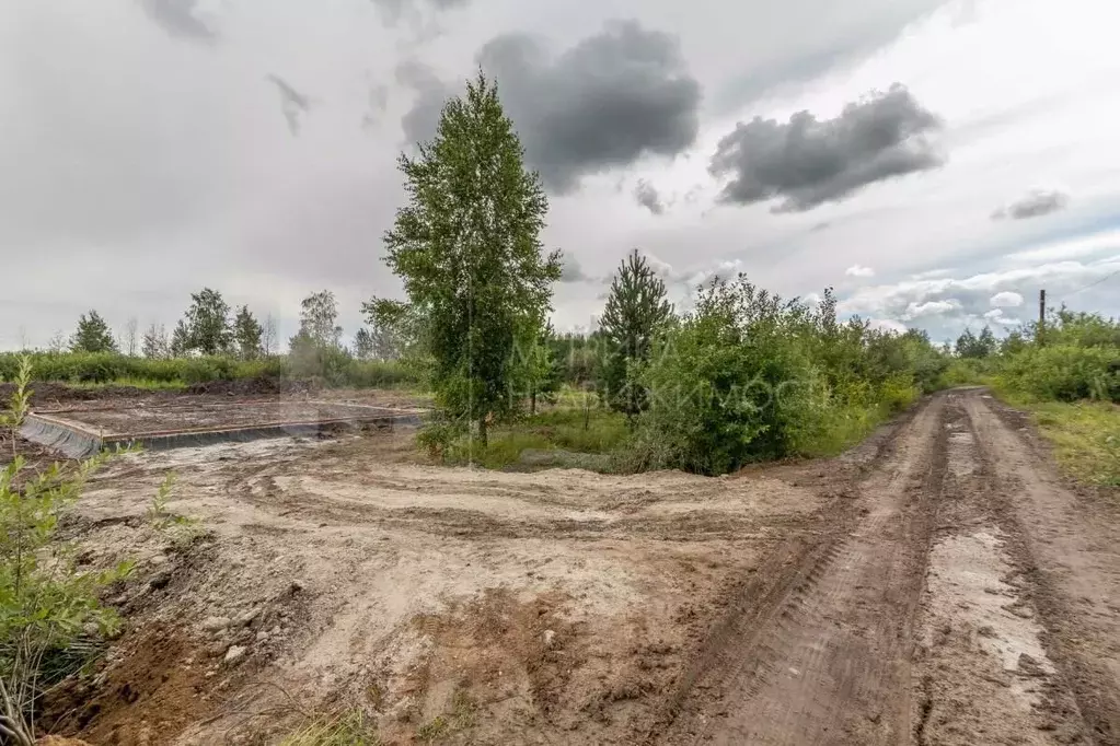 Участок в Тюменская область, Тюмень  (8.0 сот.) - Фото 1