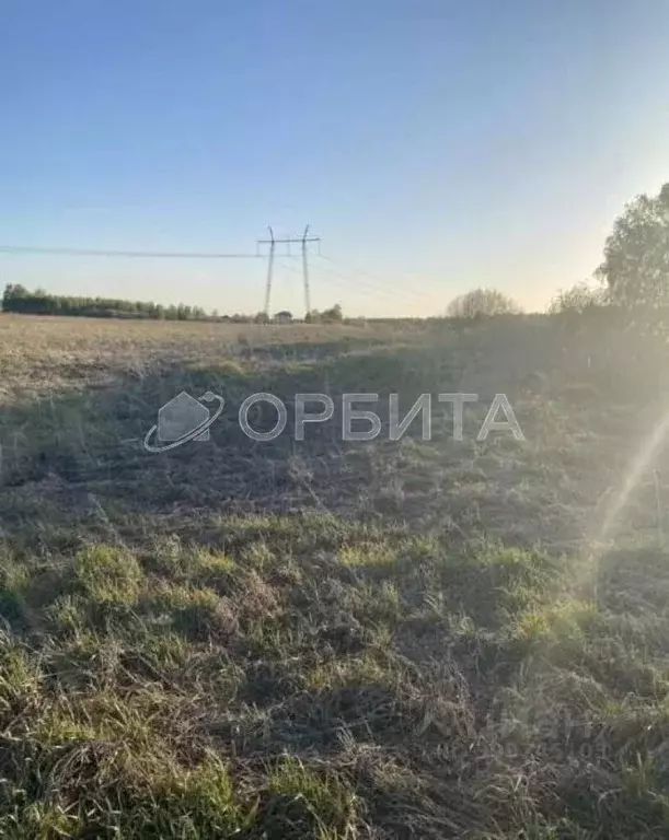 Участок в Тюменская область, Тюмень Лаванда садовое товарищество,  ... - Фото 1