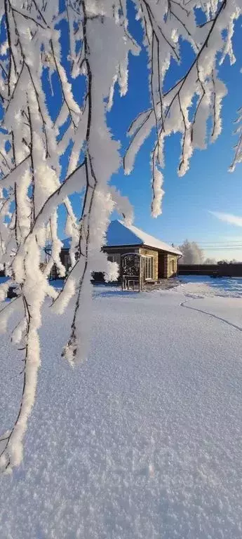 Дом в Новгородская область, Новгородский район, Ракомское с/пос, д. ... - Фото 1