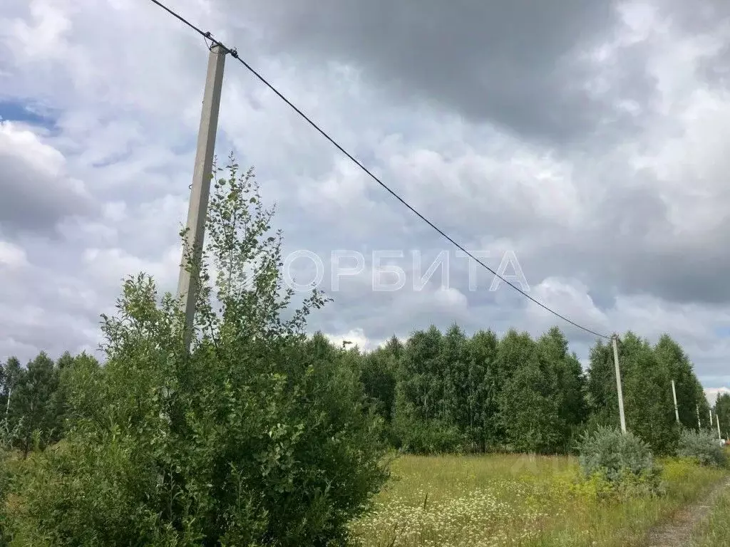 Участок в Тюменская область, Нижнетавдинский район, Царицыно СНТ  ... - Фото 0