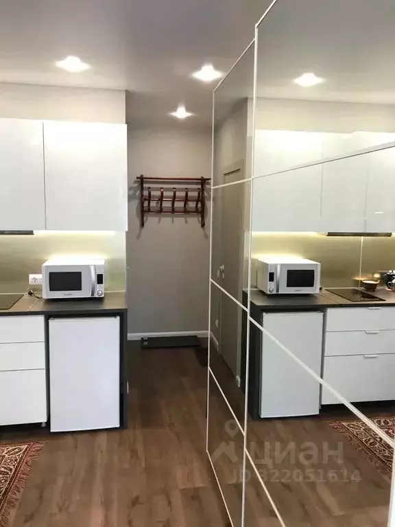 Студия Санкт-Петербург Большая Пушкарская ул., 4 (28.0 м) - Фото 2