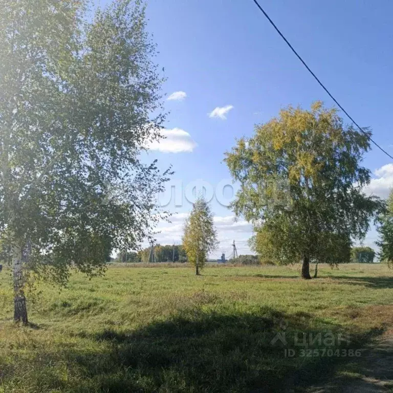 Участок в Новосибирская область, Новосибирский район, Верх-Тулинский ... - Фото 2