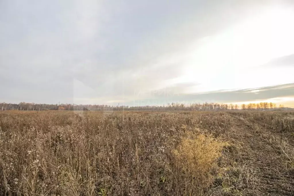 Участок в Тюменская область, Тюменский муниципальный округ, с. ... - Фото 1