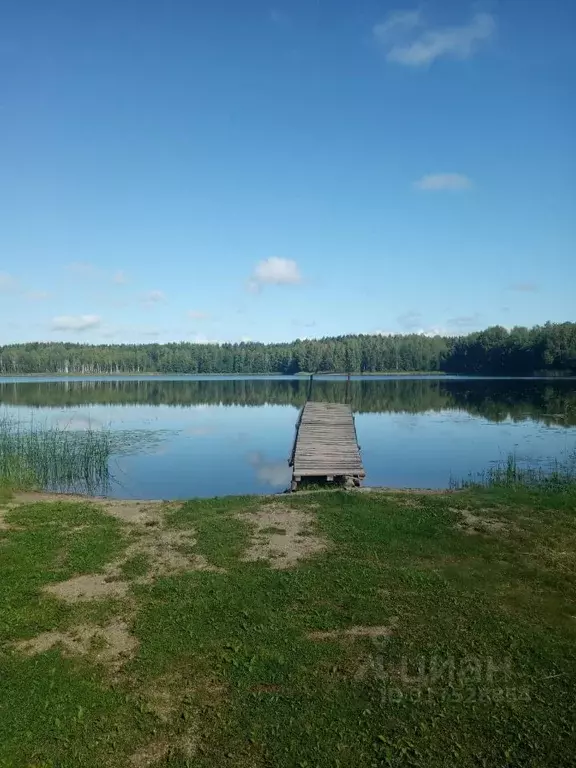 Дом в Псковская область, Псковский район, Середкинская волость, ... - Фото 1