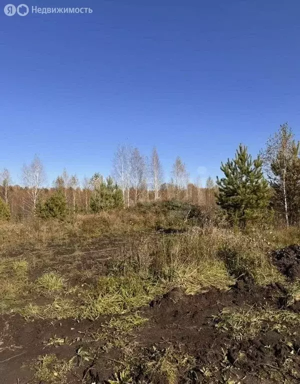 Участок в Томский район, деревня Новомихайловка, ДНП Кедры, Зимний ... - Фото 1
