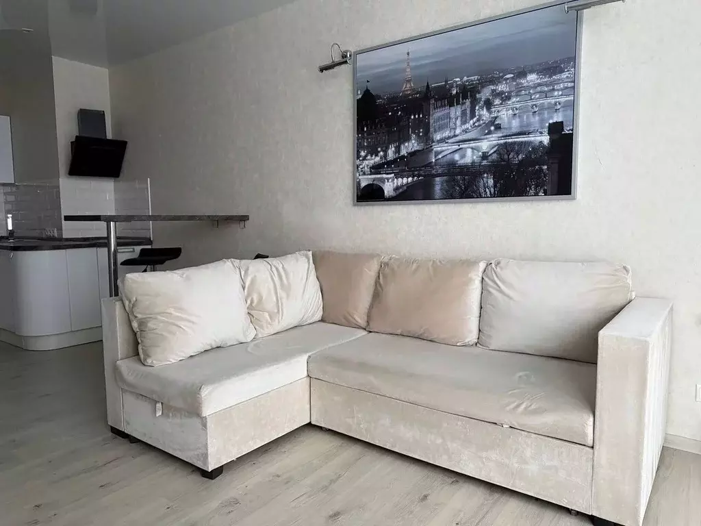 Студия Санкт-Петербург Мебельная ул., 19К2 (26.0 м) - Фото 2