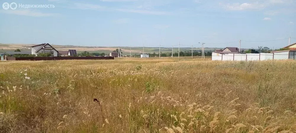 Участок в Амурская область, Серышевский муниципальный округ, село ... - Фото 1