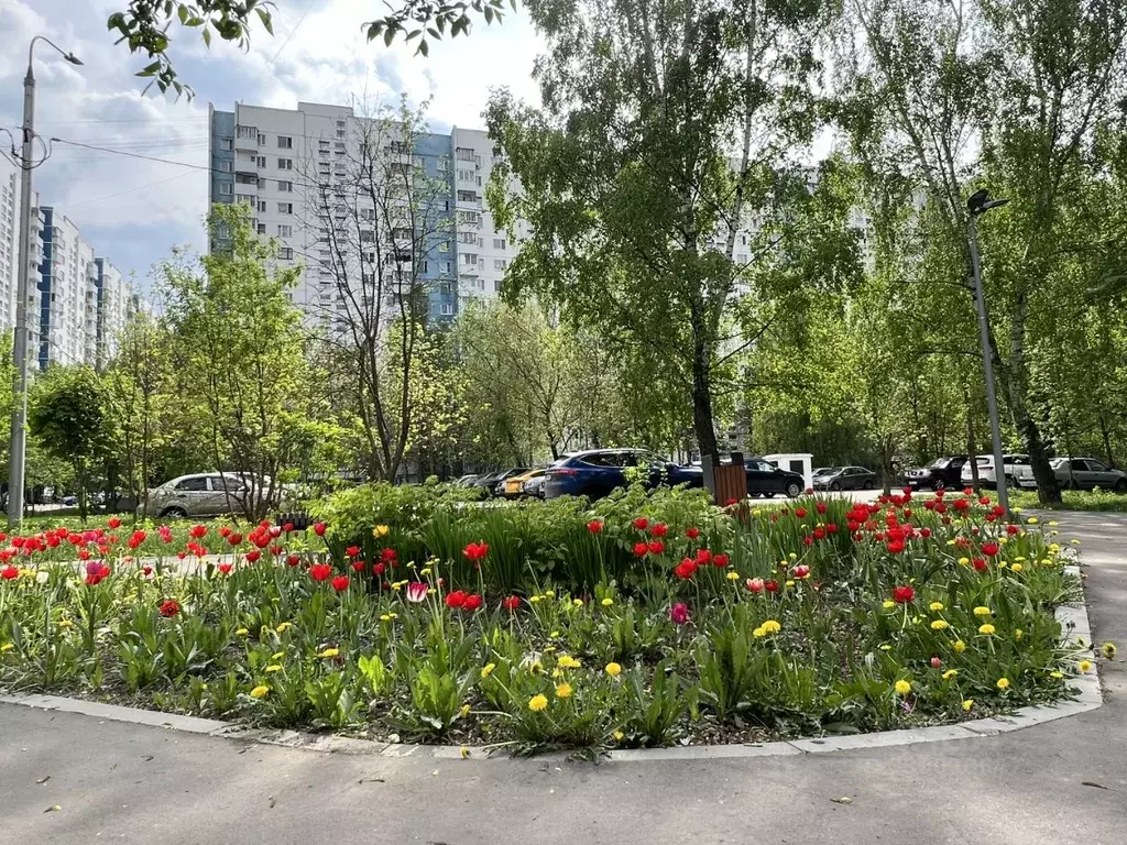 Комната Москва Новгородская ул., 30 (14.1 м) - Фото 1