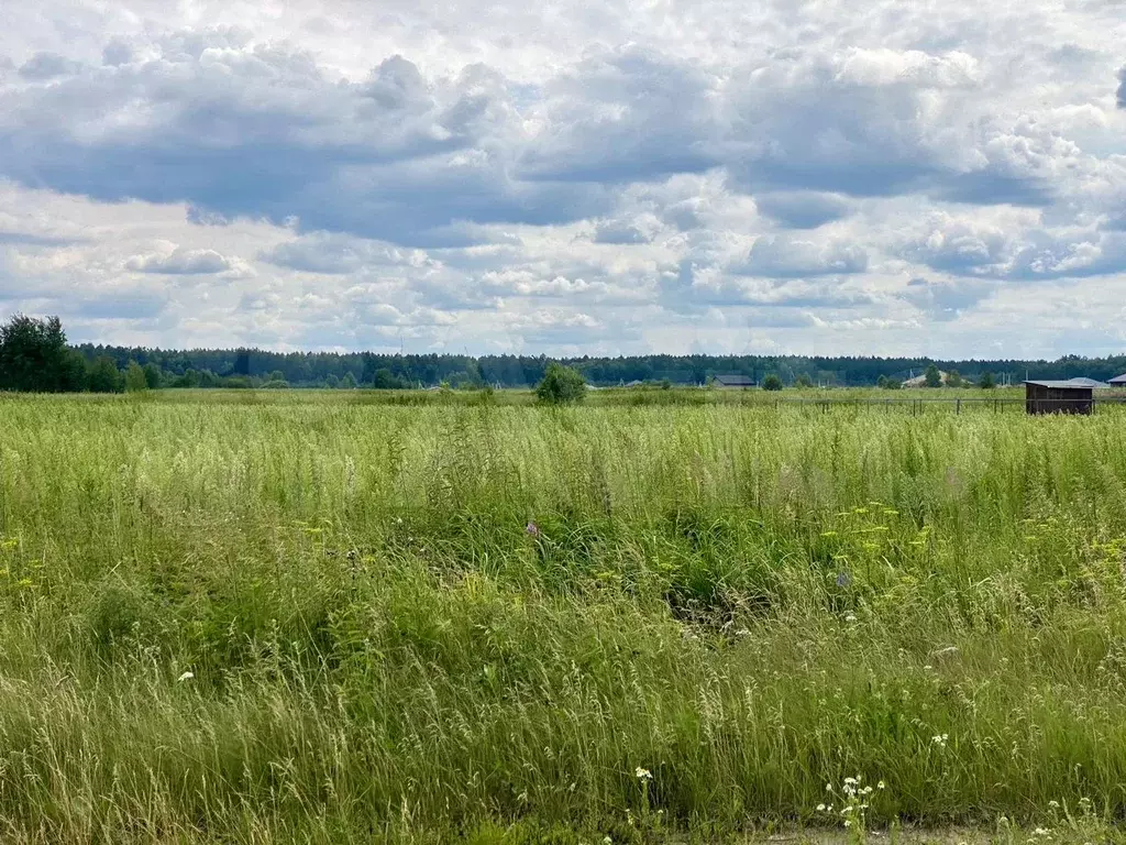 Участок 8 сот. (СНТ, ДНП) - Фото 1