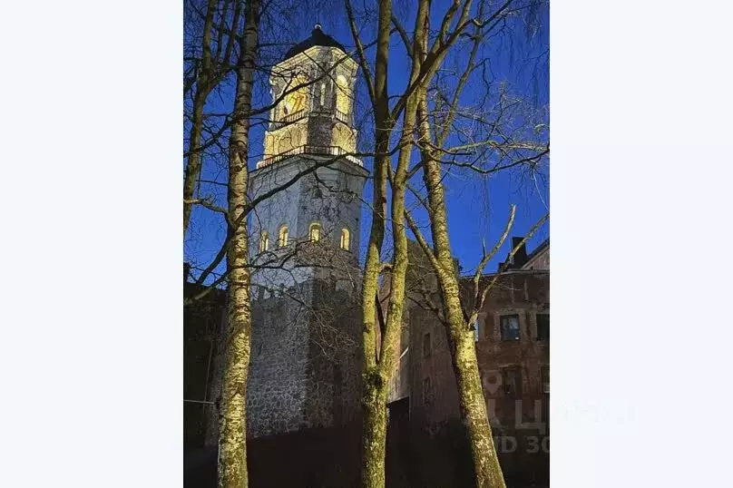 1-к кв. Ленинградская область, Выборг ул. Сторожевой Башни, 9 (26.0 м) - Фото 1