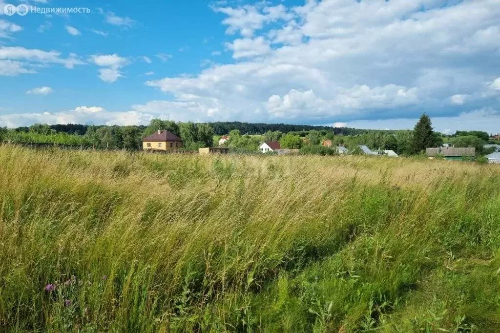 Участок в Венёвский район, муниципальное образование Центральное, село ... - Фото 0