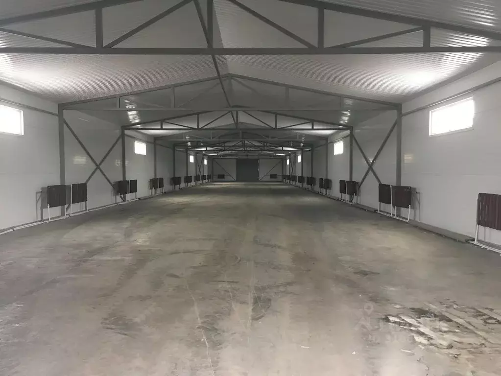 Помещение свободного назначения в Новосибирская область, Новосибирский ... - Фото 1