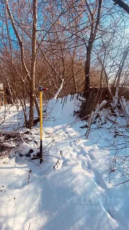 Участок в Томская область, Томск Черемошники мкр, ул. Большая ... - Фото 0