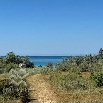 Участок в Крым, Черноморский район, Оленевское с/пос, с. Оленевка  ... - Фото 1