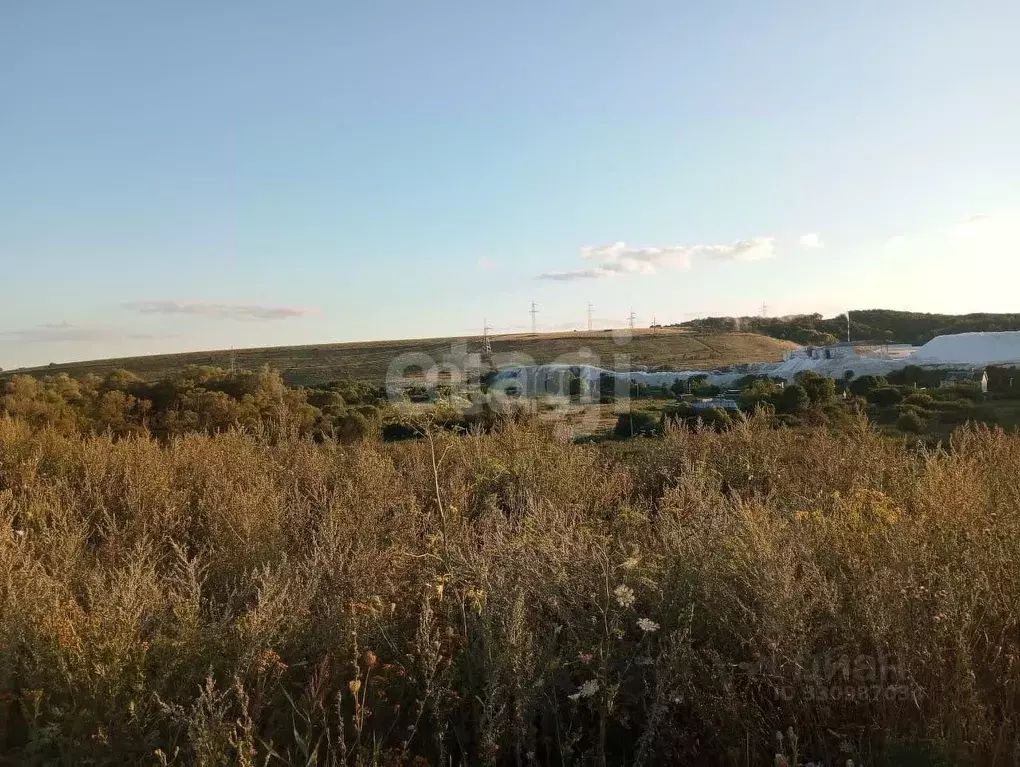 Участок в Белгородская область, Яковлевский муниципальный округ, с. ... - Фото 1