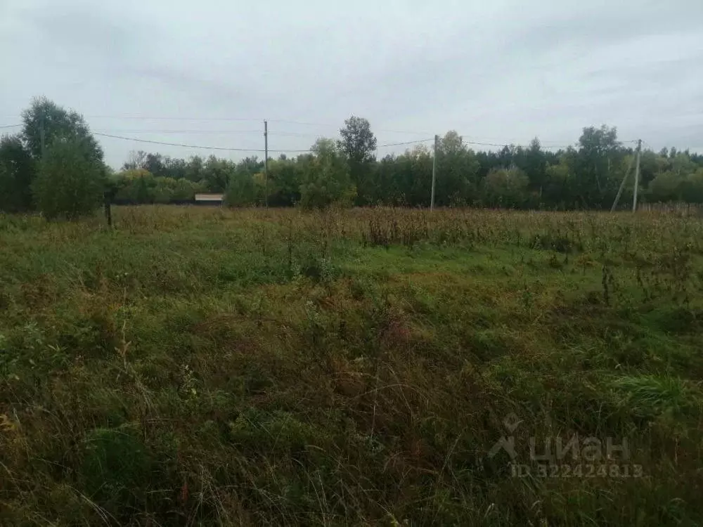 Участок в Иркутская область, Шелеховский район, Баклашинское ... - Фото 1