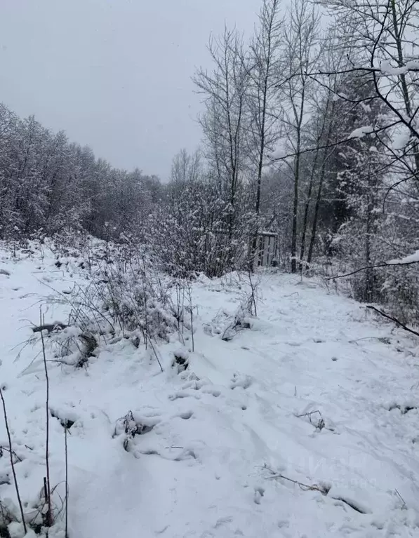 Участок в Московская область, Пушкинский городской округ, с. ... - Фото 1