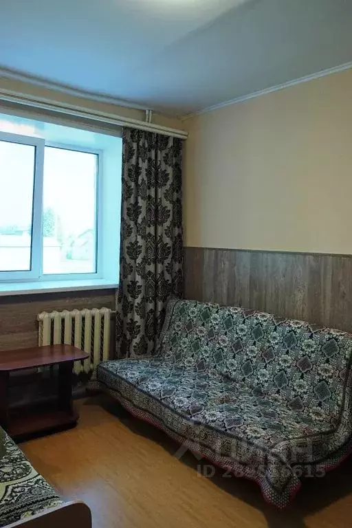 Студия Башкортостан, с. Буздяк ул. Вильмира Ахмадеева, 11 (17.0 м) - Фото 2