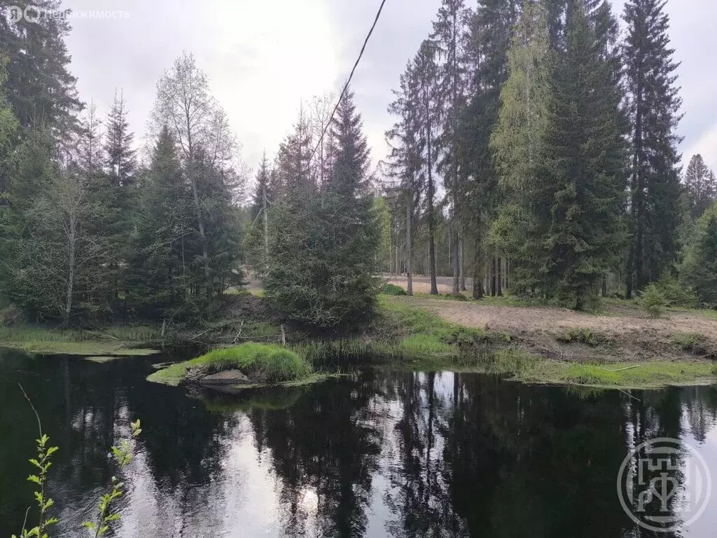 Участок в городской посёлок Рощино, клубный посёлок ЦК-2 (12 м) - Фото 0